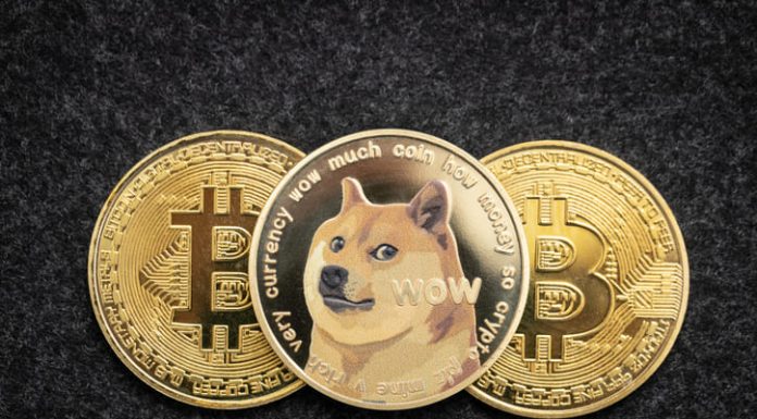 When Dogecoin Was Just a Joke in The Untold Early Days of DOGE’s Community Dogecoin