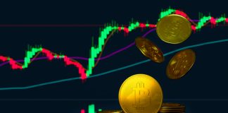 Is Now a Good Time to Buy Bitcoin? Understanding Market Cycles