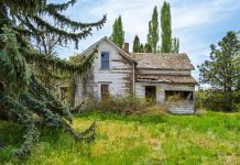 Flipping Abandoned Properties for Profit