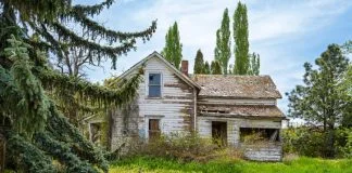 Flipping Abandoned Properties for Profit