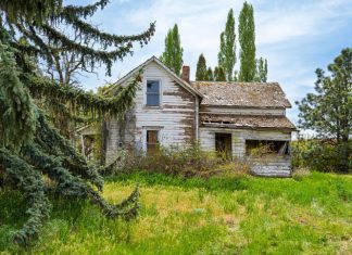 Flipping Abandoned Properties for Profit