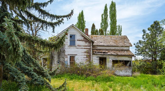 The Ultimate Guide To Flipping Abandoned Properties for Profit Flipping Abandoned Properties for Profit