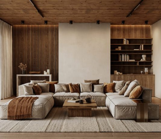 How to Pick the Perfect Carpet Type for Every Room in Your House living room with a carpet