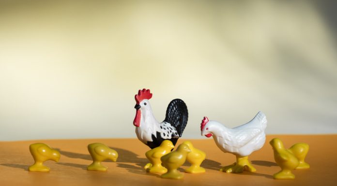 Chicken Road Game Review: The Funniest Mobile Crossing Game Ever Chicken Road Game