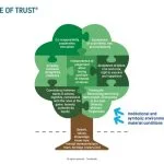 TrustInside’s Tree of Trust: Understanding and Strengthening Relational Capital tree of trust