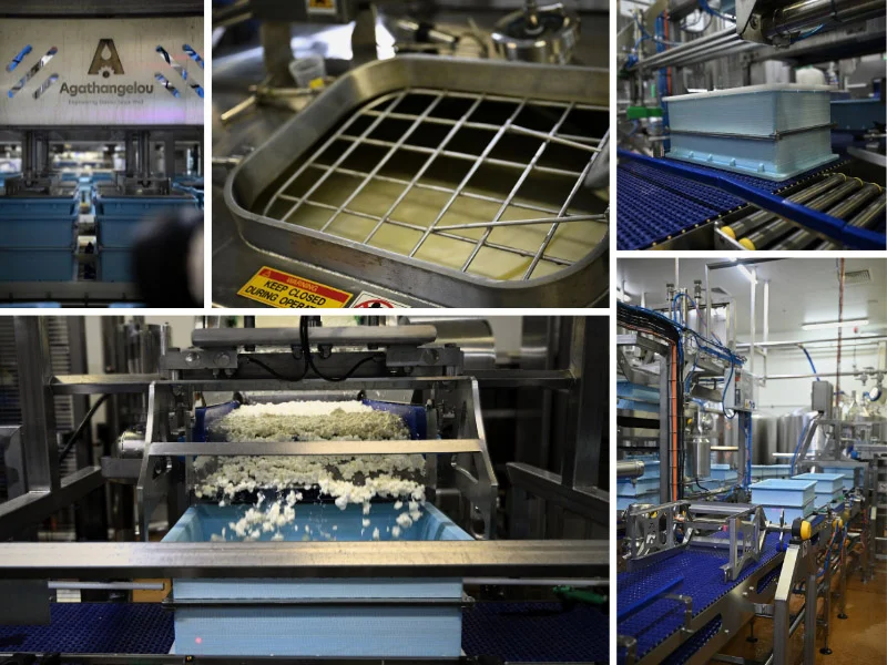 Agathangelou’s Automatic Halloumi Line Sets a New Standard