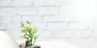 What Makes Loans Against Mutual Funds Beneficial? Loans Against Mutual Funds