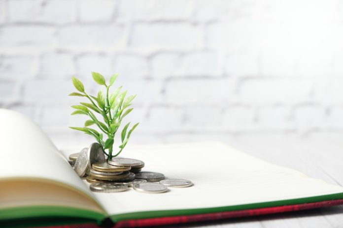 Close up of young plan growing through coins. Loans Against Mutual Funds