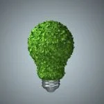 Boardroom green evolution