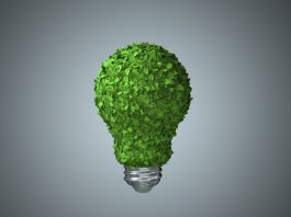 The Boardroom Revolution: How Three Books Convinced CEOs to Go Green Boardroom green evolution