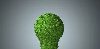 Boardroom green evolution