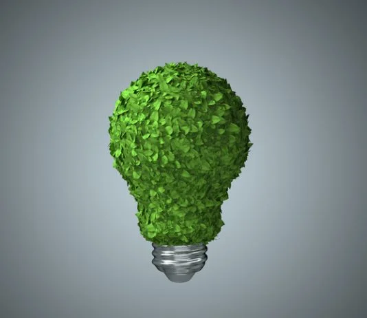 The Boardroom Revolution: How Three Books Convinced CEOs to Go Green Boardroom green evolution