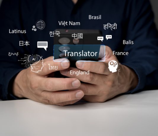 Professional translator services