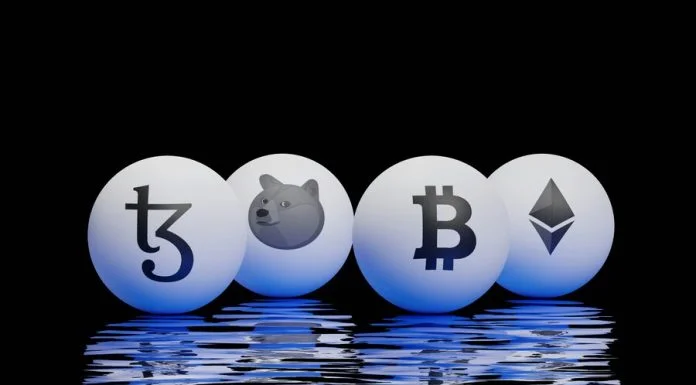 What Are Going to Be the Top Cryptocurrencies in 2026 According to Crypto Enthusiasts Crypto