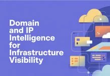 Domain and IP intelligence for infrastructure visibility