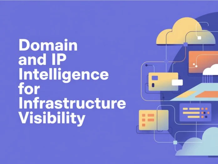 Domain and IP intelligence for infrastructure visibility