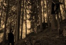 Nicholas Rooney and the Art of Independent Cinema