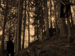 Nicholas Rooney and the Art of Independent Cinema