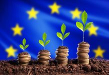 Growth Investment in Europe