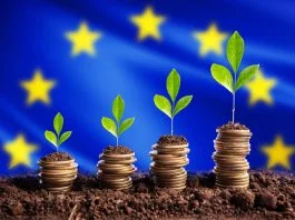 Growth Investment in Europe