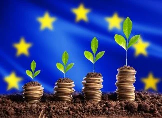Rethinking Growth Investment in Europe Growth Investment in Europe