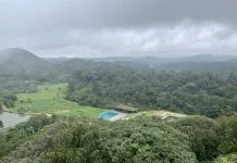 Majestic view of the green hills of Coorg