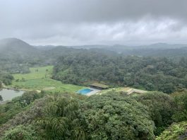 Majestic view of the green hills of Coorg