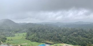 Majestic view of the green hills of Coorg