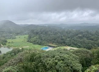 Discovering Coorg: Landscapes, Culture, and Resort Experiences Majestic view of the green hills of Coorg