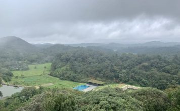 Majestic view of the green hills of Coorg