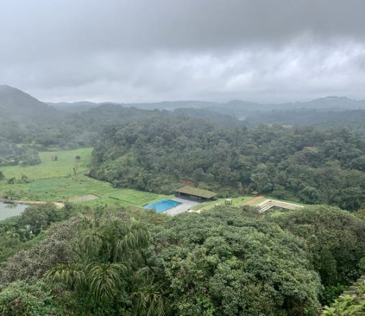 Majestic view of the green hills of Coorg