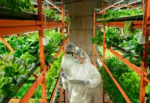 innovative food production