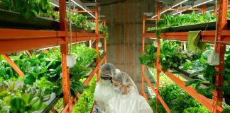 innovative food production