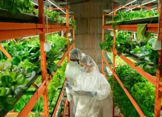 innovative food production