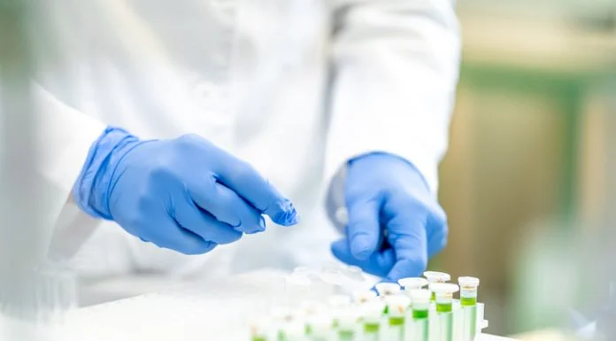 How Sustainable Manufacturing in Europe Gives Beauty Brands a Competitive Edge How Sustainable Manufacturing in Europe Gives Beauty Brands a Competitive Edge