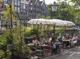 The Afternoon in Amsterdam When a Simple Coffee Meeting Sparked a Million-Euro Partnership