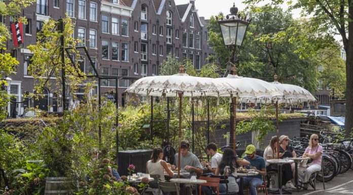 The Afternoon in Amsterdam When a Simple Coffee Meeting Sparked a Million-Euro Partnership