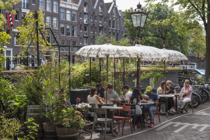 The Afternoon in Amsterdam When a Simple Coffee Meeting Sparked a Million-Euro Partnership