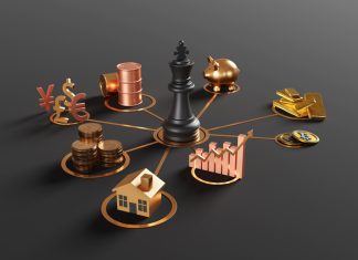 investment portfolios, institutional investors and wealth diversification