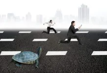 From Side Hustle to Scaling: Why Slow and Steady Wins the Race Slow and Steady Wins the Race of Business people and turtle. Scaling a Side Hustle concept