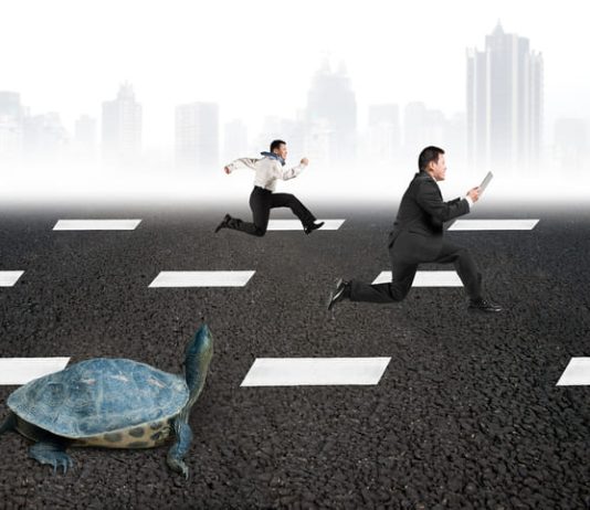 Slow and Steady Wins the Race of Business people and turtle. Scaling a Side Hustle concept