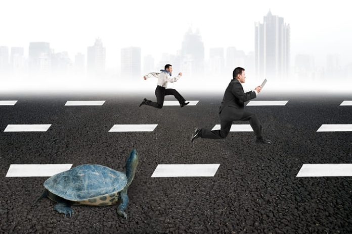 Slow and Steady Wins the Race of Business people and turtle. Scaling a Side Hustle concept