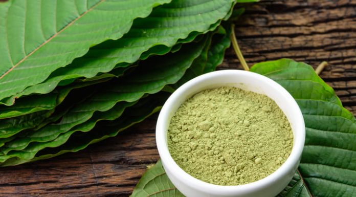The Best 7 Tips For First-Time Users To Purchase Green Dragon Kratom Green Dragon Kratom