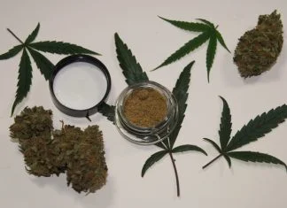 Medical Marijuana Card in MA: What I Wish I Knew