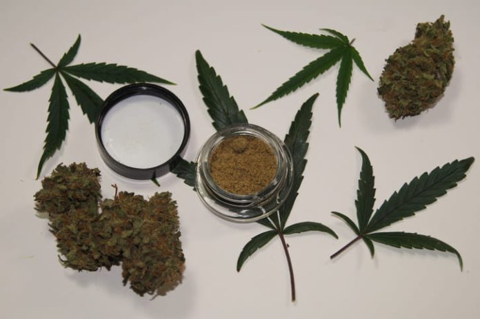 iStock-947045102 (1) Medical Marijuana Card in MA: What I Wish I Knew