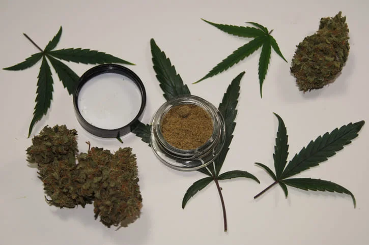 What I Wish I Knew Before Applying for a Medical Marijuana Card in MA