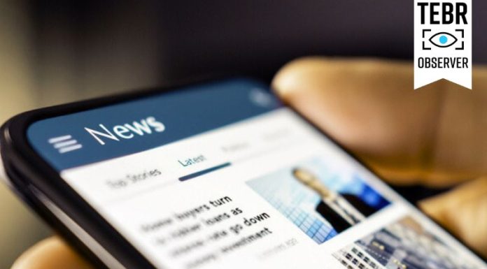 Person checking article online. Editorial Credibility concept