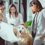 Empathy and Discipline Are Building a New Pet Insurance Category