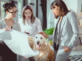 Empathy and Discipline Are Building a New Pet Insurance Category
