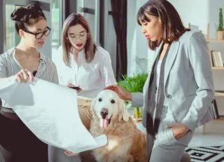 Empathy and Discipline Are Building a New Pet Insurance Category